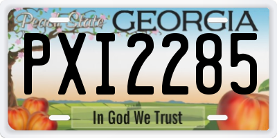 GA license plate PXI2285