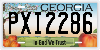 GA license plate PXI2286