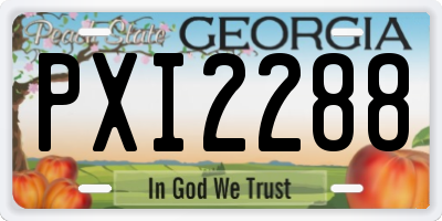 GA license plate PXI2288