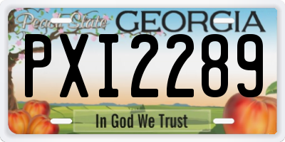 GA license plate PXI2289