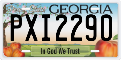 GA license plate PXI2290