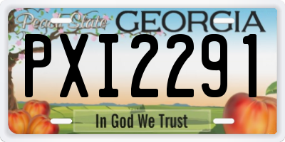 GA license plate PXI2291