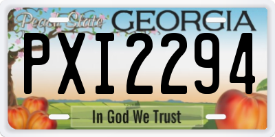 GA license plate PXI2294