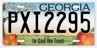 GA license plate PXI2295
