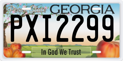 GA license plate PXI2299