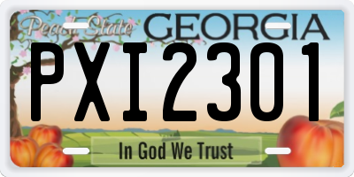 GA license plate PXI2301
