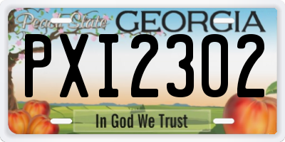 GA license plate PXI2302
