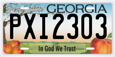 GA license plate PXI2303