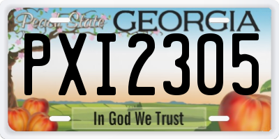 GA license plate PXI2305
