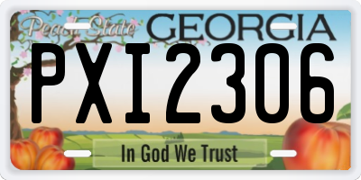 GA license plate PXI2306