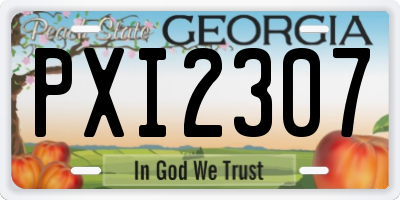 GA license plate PXI2307