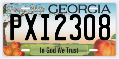 GA license plate PXI2308