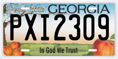 GA license plate PXI2309