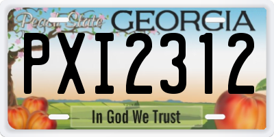 GA license plate PXI2312