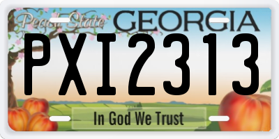 GA license plate PXI2313