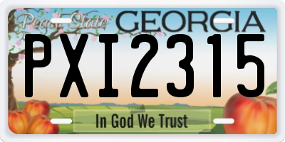 GA license plate PXI2315