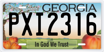 GA license plate PXI2316