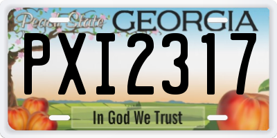 GA license plate PXI2317