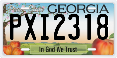 GA license plate PXI2318