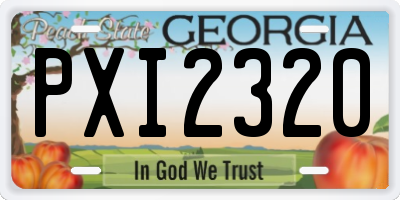 GA license plate PXI2320