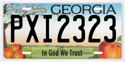 GA license plate PXI2323