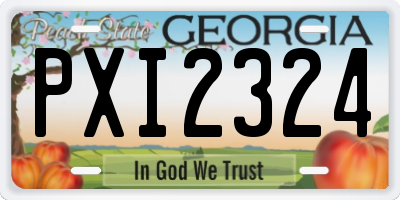 GA license plate PXI2324