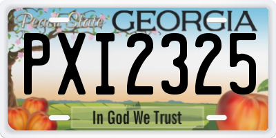 GA license plate PXI2325