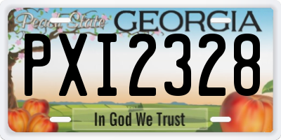 GA license plate PXI2328