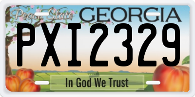 GA license plate PXI2329