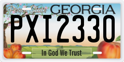 GA license plate PXI2330
