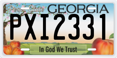 GA license plate PXI2331