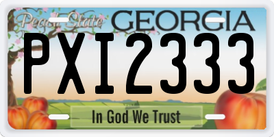 GA license plate PXI2333