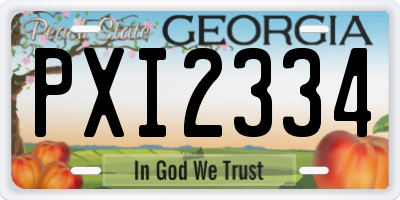 GA license plate PXI2334