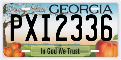 GA license plate PXI2336