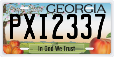 GA license plate PXI2337