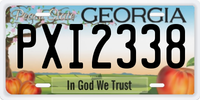 GA license plate PXI2338