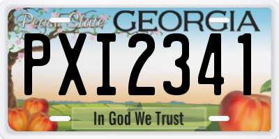 GA license plate PXI2341