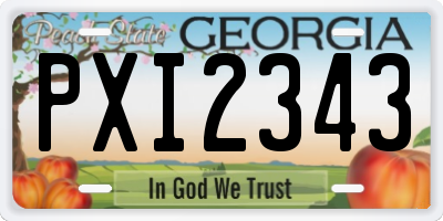 GA license plate PXI2343
