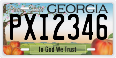 GA license plate PXI2346