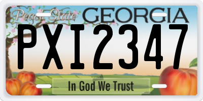 GA license plate PXI2347