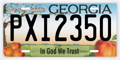 GA license plate PXI2350