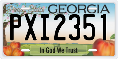 GA license plate PXI2351