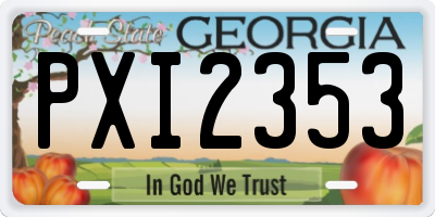 GA license plate PXI2353