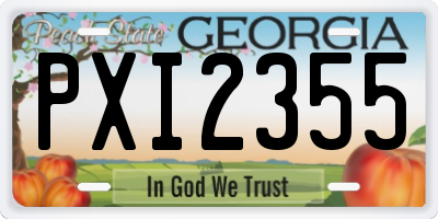 GA license plate PXI2355