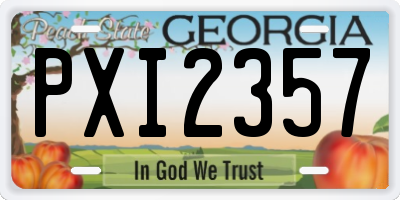 GA license plate PXI2357