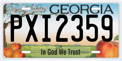 GA license plate PXI2359