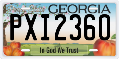 GA license plate PXI2360