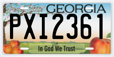 GA license plate PXI2361