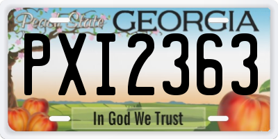 GA license plate PXI2363