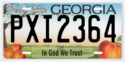 GA license plate PXI2364
